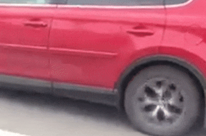 blog-0078088001481534000.gif