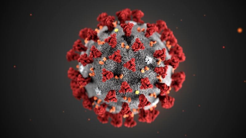 coronavirus-2.jpg.b1cddd728c28521461c98728399627dd.jpg