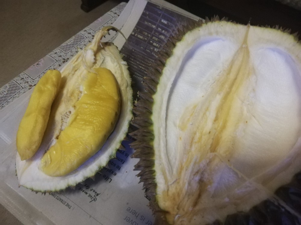 Durian BB.jpg