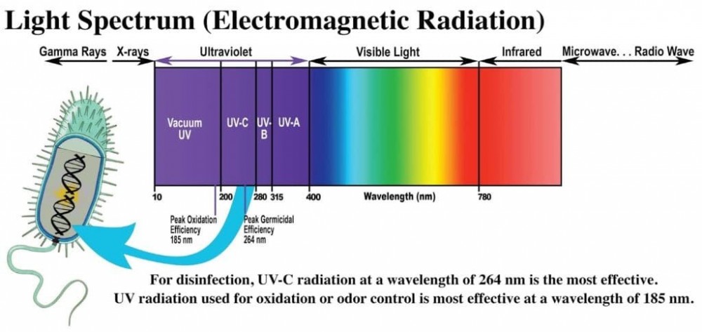 UV2.jpg