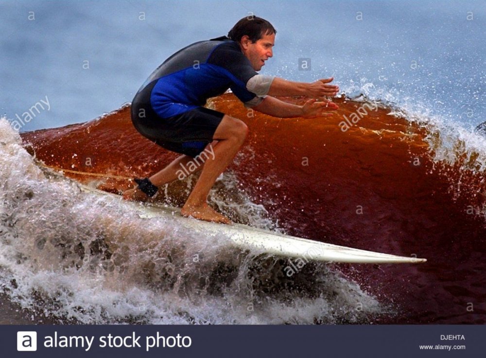 sep-13-2003-manhattan-beach-ca-usa-a-surfer-rides-a-red-tide-at-el-DJEHTA.jpg