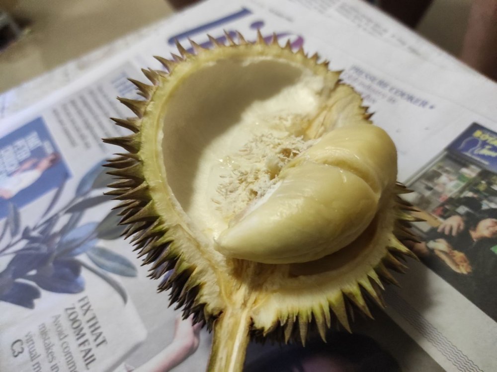 Durian JF Beach Road2a.jpg