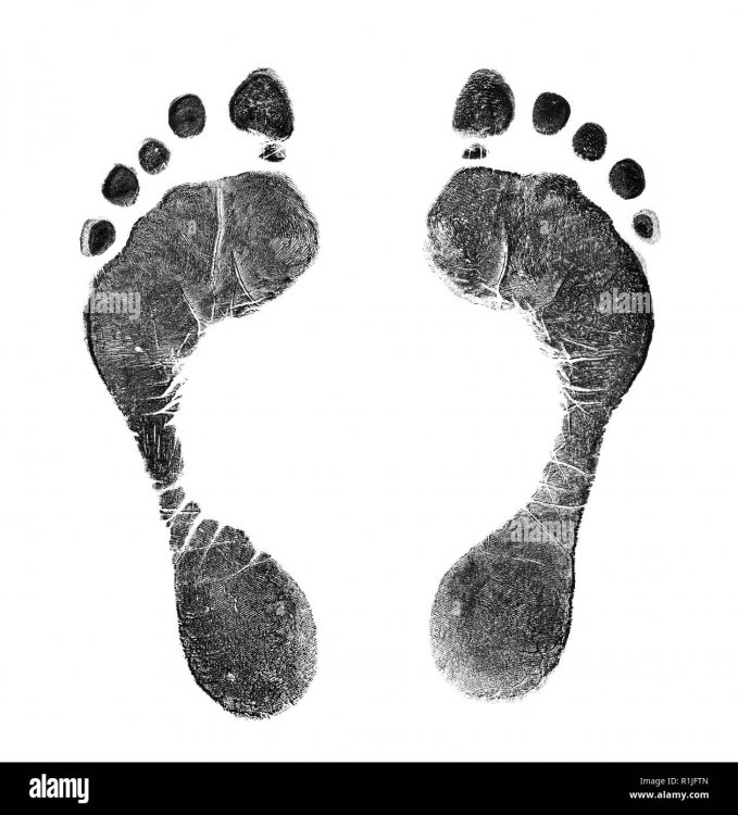 black-prints-of-feet-on-transparent-paper-black-footprint-isolated-on-white-R1JFTN.thumb.jpg.bf023e8040f31c78418596046d848702.jpg