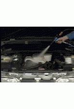 post-8-1011504329_thumb.gif