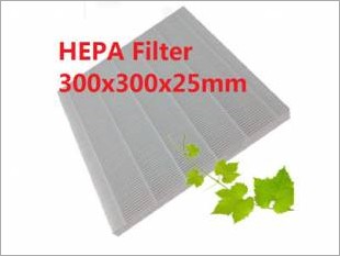 https://www.mycarforum.com/uploads/sgcarstore/data/10/HEPAFILTER300X300XX25MM_18665_1.jpg