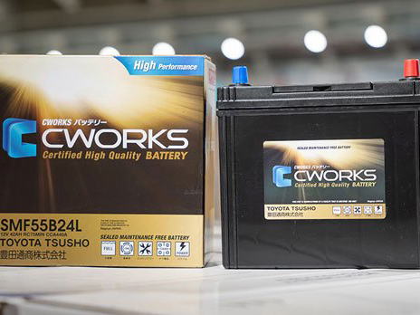 CWORKS Car Battery