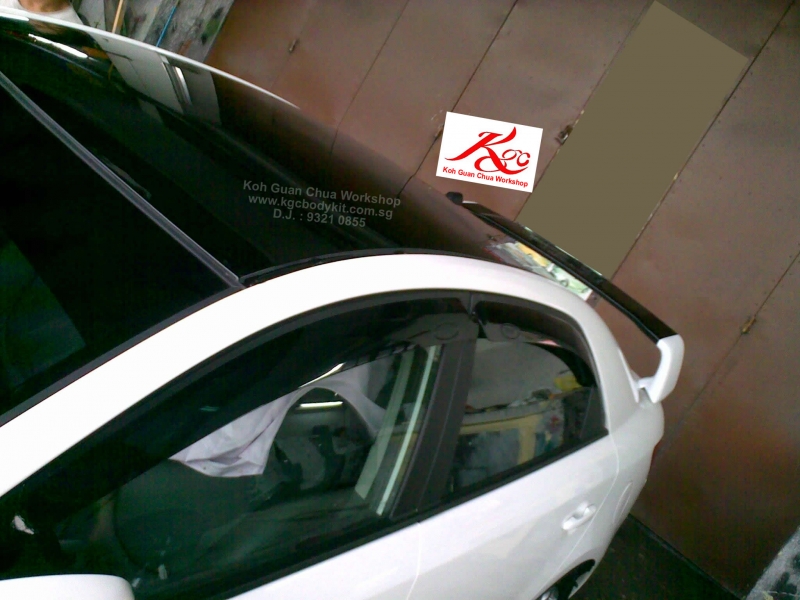 Moon Roof Spray Painting Service (Gloss Black)