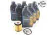 Mercedes-Benz Genuine 5W40 6L Engine Oil Gold Servicing Package 