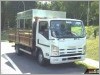 Isuzu NPR85 With Canopy (For Lease)