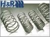 H&R Opel Astra-H Lowering Springs