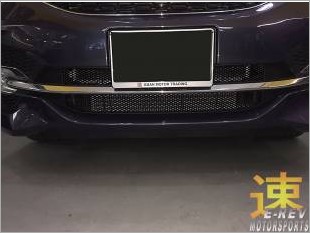 HondaStepwagonCustomisedWireMesh_40759_1.jpg