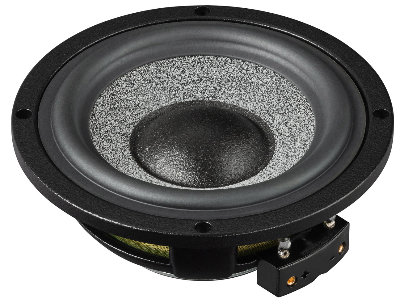 Brax Graphic GL3 Midrange Speakers