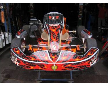 https://www.mycarforum.com/uploads/sgcarstore/data/8/Hasse_Rotax_Max_FR125_1_1.jpg